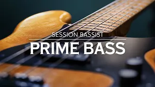 Introducing SESSION BASSIST — PRIME BASS | Native Instruments