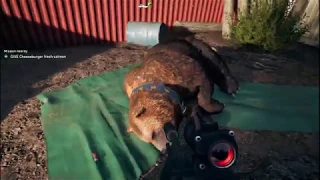 Far Cry 5: Fang center & Cheeseburger