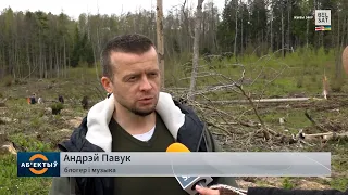 Павук насадзіў леса ў Літве