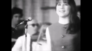 The Seekers - Georgy Girl - Myer Music Bowl Footage