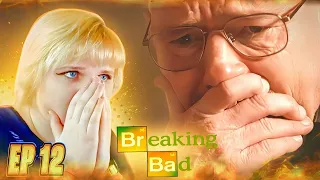 Во все тяжкие (Breaking Bad) 2 сезон 12 серия | Реакция на сериал