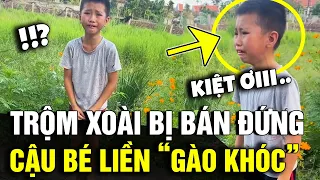 Đi trộm xoài bị đứa bạn 'BÁN ĐỨNG', cậu nhóc liền GÀO KHÓC trong bất lực | Tin Nhanh 3 Phút