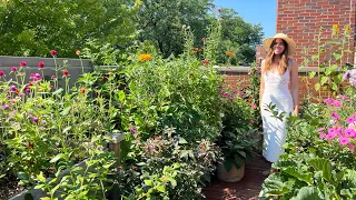 August Container Garden Tour | Rooftop Balcony Garden