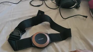 Woojer Strap, But Im an Audiophile