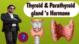 Thyroid & Parathyroid glands # Hormone #ch. 22#Lecture -7