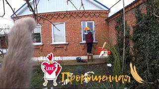 ОТСАДИЛИ КУРОЧКУ🐓  ТЕПЛО🌞 ЗАШТУКАТУРИЛА ОТКОС БОНЯ ПОМОГАЕТ😻