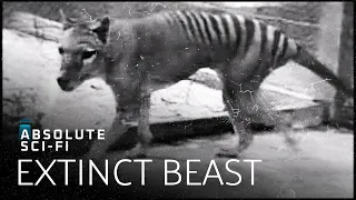 Has The Extinct Tasmanian Tiger Come Back To Life? | Boogeymen | Absolute Sci-Fi