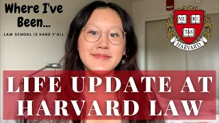 Life Update: starting at harvard law, job search, mental health| an honest law school check-in
