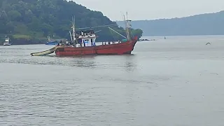 konkan machimaar boat ratnagiri jaighad port persennet fishing boat video indian boat