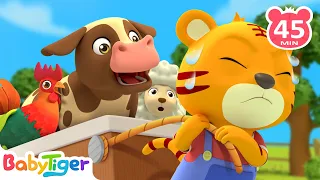 The Animals On The Farm + More Animal Songs & Nursery Rhymes | Animals For Kids - BabyTiger