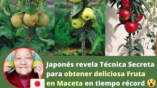 😱 El SECRETO JAPONÉS para cultivar  Árboles FRUTALES en MACETAS en menos de 30 DIAS 🪴🍎