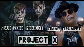 Timmy Trumpet & Sub Zero Project - Project X