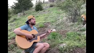 Wild Fox Sits Patiently and Enjoys Music While Guy Plays Guitar and Sings to Them - 1198580