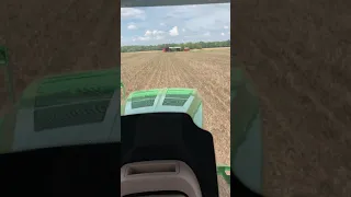 Cotton spraying!