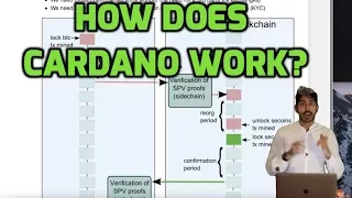 How Does Cardano Work?