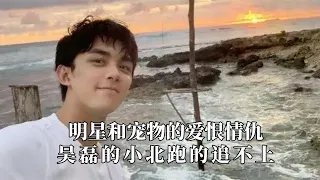 明星和宠物的爱恨情仇：吴磊的小北跑的追不上，朱正廷就是个戏精