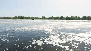 Андрей Бочаров поручил сформировать программу восстановления водных объектов