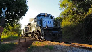 LEVANDO A YASMIM PRA FILMAR O TREM CARREGADO E DEPOIS ELA FILMANDO O TREM VAZIO