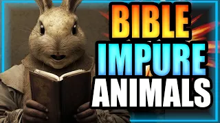 Bible Says you should not eat Rabbit, Impure Animals Bible - Big Fire