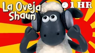 Español Capitulos Completos - La Oveja Shaun (Temporada 1)