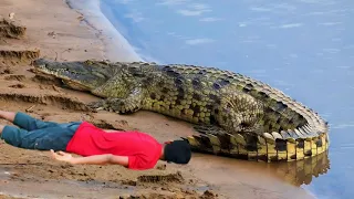 Crocodile Attack Man in Water | Crocodile attack Man | crocodile attack stories part 2