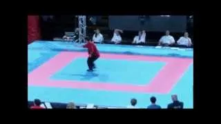 WAKO World Cup 17.Best Fighter-musical forms soft style weapons