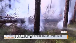 За сутки во Владимирской области произошло 3 лесных пожара