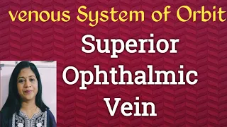 Venous System of Orbit // Superior Ophthalmic vein// Inferior Ophthalmic vein// Ophthalmology// MBBS