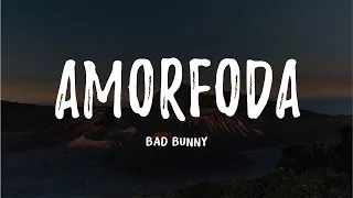 Bad Bunny - Amorfoda (Letras / Lyrics)