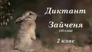 Диктант Зайченя 2 клас