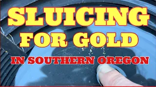 SLUICING FOR GOLD IN SOUTHERN OREGON 😮😮😮 #gold #goldmining #goldprospecting #oregongold
