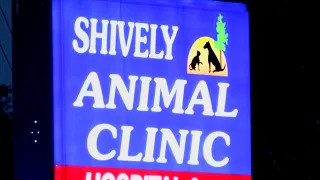 Woman who fatally shot man outside Shively Animal Clinic says she did it to protect her wife