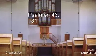 Psalmen 43, 81 en 134