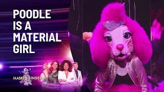 Poodle's 'Material Girl' Performance - Season 4 | The Masked Singer Australia | Channel 10