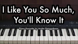 I Like You So Much, You'll Know It - Ysabelle Cuevas | Piano Karaoke by Andre Panggabean