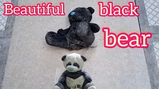 Beautiful black bear after washing, did it become beautiful?asmr asmr