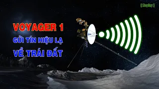 Tàu vũ trụ Voyager 1 liên tục gửi tín hiệu lạ về Trái Đất [Replay] |Top thú vị |