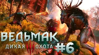 Прохождение Ведьмак 3: Дикая Охота (The Witcher 3: Wild Hunt) — Часть 6: Кровавый Барон