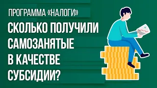 Сколько получили самозанятые в качестве субсидии?