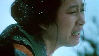 北の螢, Kita no Hotaru (1984) Official Trailer