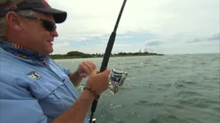 Tarpon Fishing Egmont Key in Tampa Bay Florida