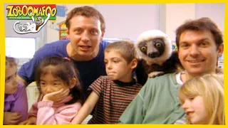 🐵 Zoboomafoo 👧🏻👦🏾 with the Kratt brothers! HUMANS | Full Episode | Animal Show for Kids