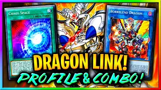 DRAGONS NEVER DIE!! | Dragon Link Profile + Combo tutorial!