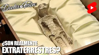 ¿Son REALES ESTOS EXTRATERRESTRES? 🛸