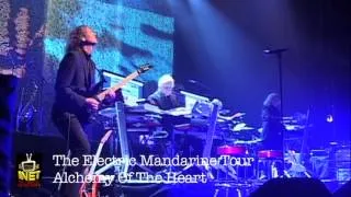 Tangerine Dream Live in Zürich 2012: »Alchemy Of The Heart« (6/16)