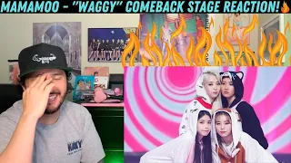 MAMAMOO - "Waggy" Comeback Stage Reaction!