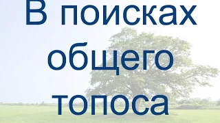 В поисках общего топоса