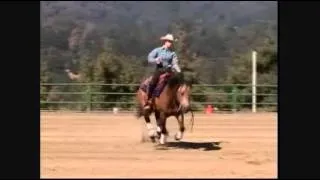 Reining By The Bay- Shea & Ace- Day 2