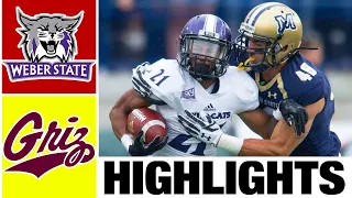 Weber State vs Montana Highlights | College Football Week 9 | 2022 College Football