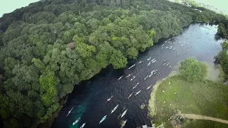 PBS SHOW - Racing Down a River & Loggerhead Shrikes - #3009